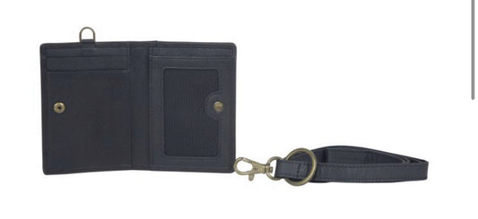 Coltish card case